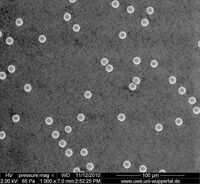 3.08_Palas PMMA10_1000x_2kV_015.jpg