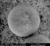 3.09_Palas PMMA20_10000x_2kV_001.jpg