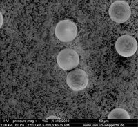 3.09_Palas PMMA20_2500x_2kV_003.jpg