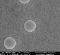 3.10_Palas PMMA30_2000x_2kV_005.jpg