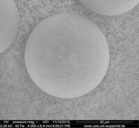 3.11_Palas PMMA40_4000x_2kV_003.jpg